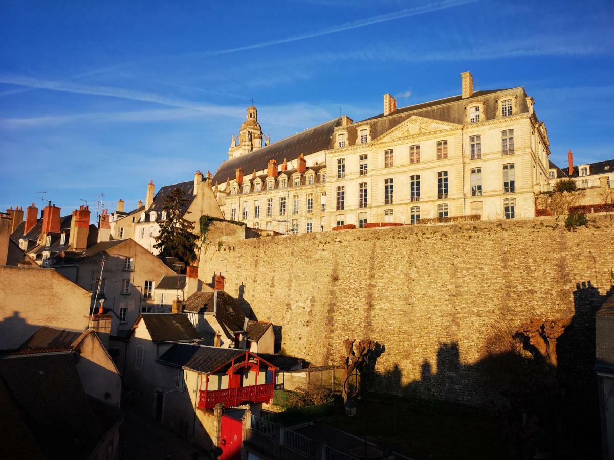 Happy Cocoon - Immersion Au Centre Historique Blois Luaran gambar